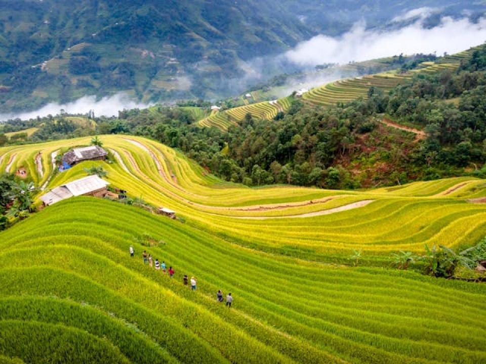 top vietnam stocks to buy 2025: long-term opportunities in a resilient market