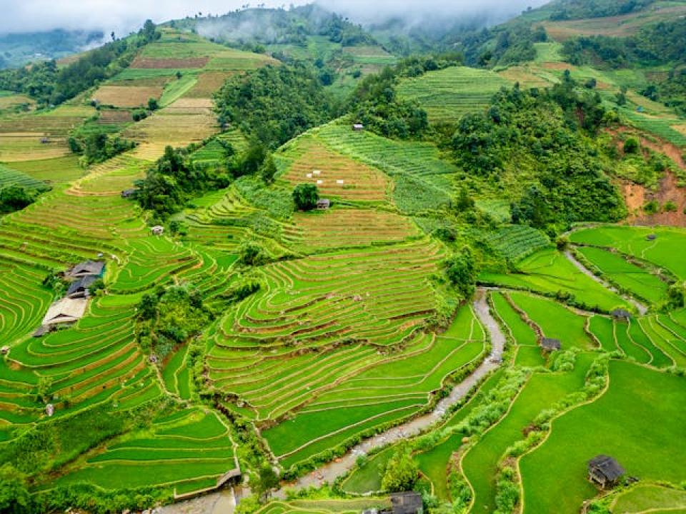 vietnam public equity: active management in a rapidly evolving market