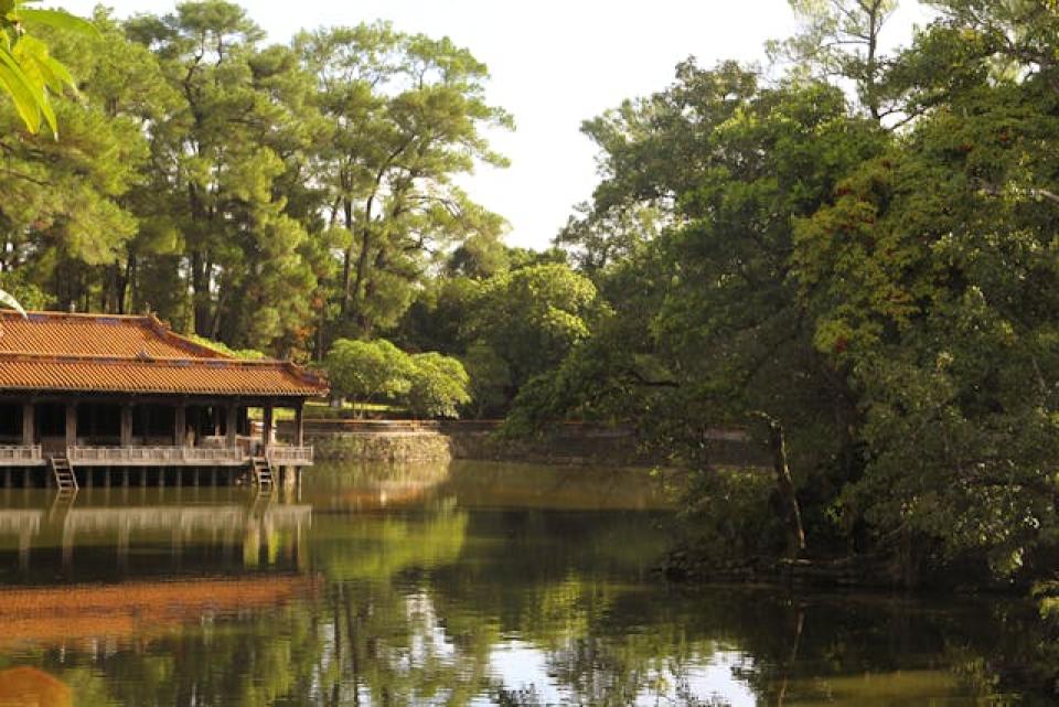 investing in vietnam’s consumer sector: growth driven by rising purchasing power