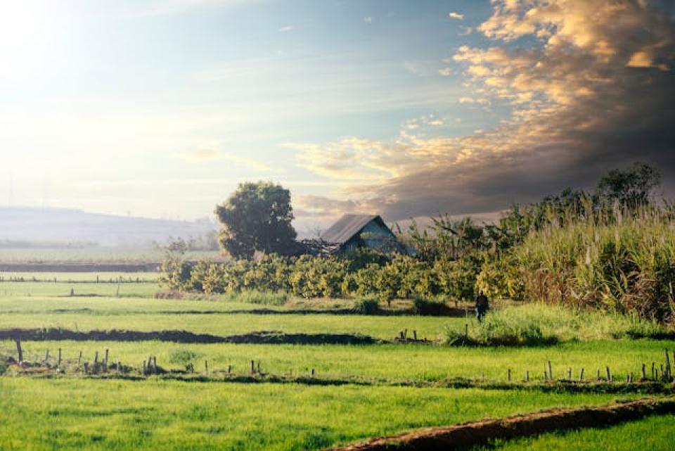 structural growth in southeast asia: the long-term strategy behind the lumen vietnam fund