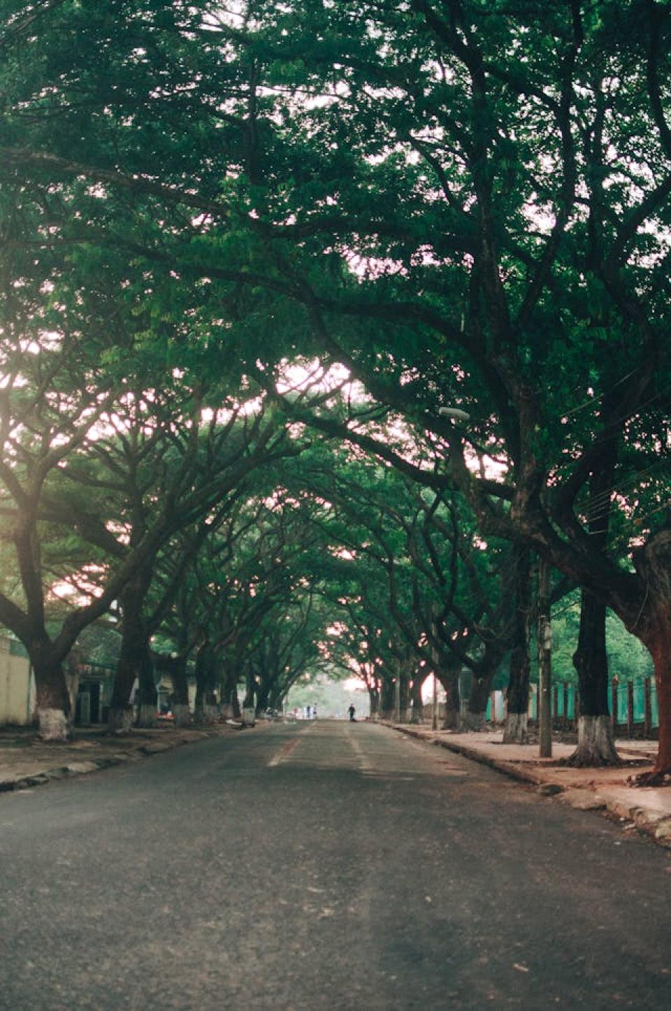 vietnams wachstumspfad 2025: fundamentale treiber einer dynamischen volkswirtschaft