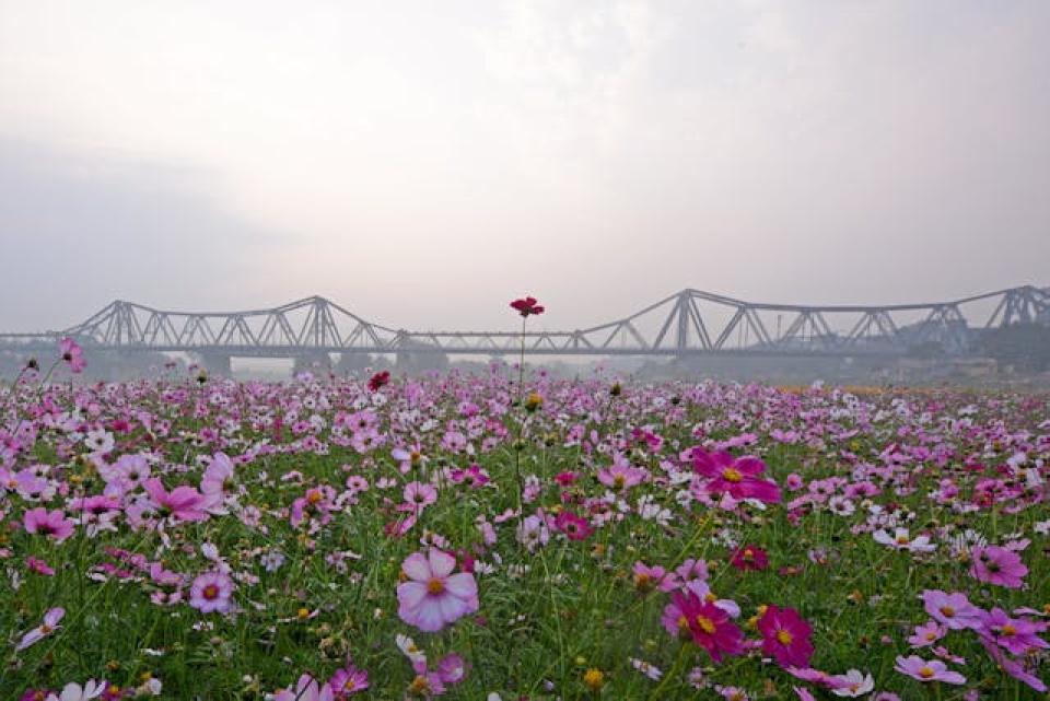 führung, expertise und lokales wissen: die sicht von mario timpanaro vietnam auf einen markt im wandel