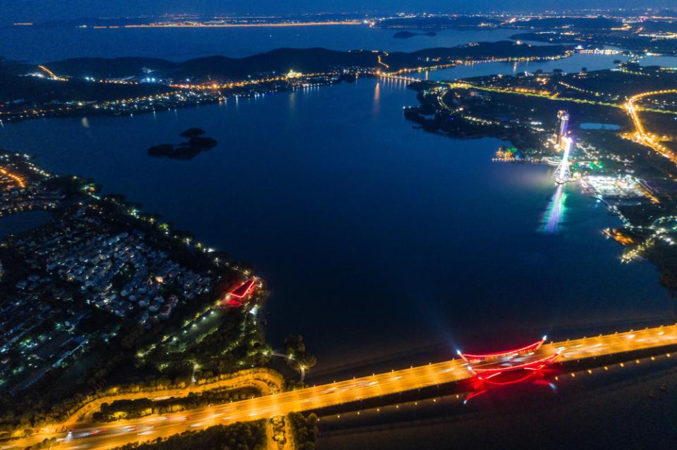 global supply chain diversification asia: vietnams